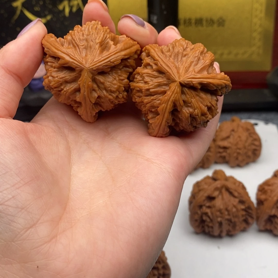 七*白狮子1111111111