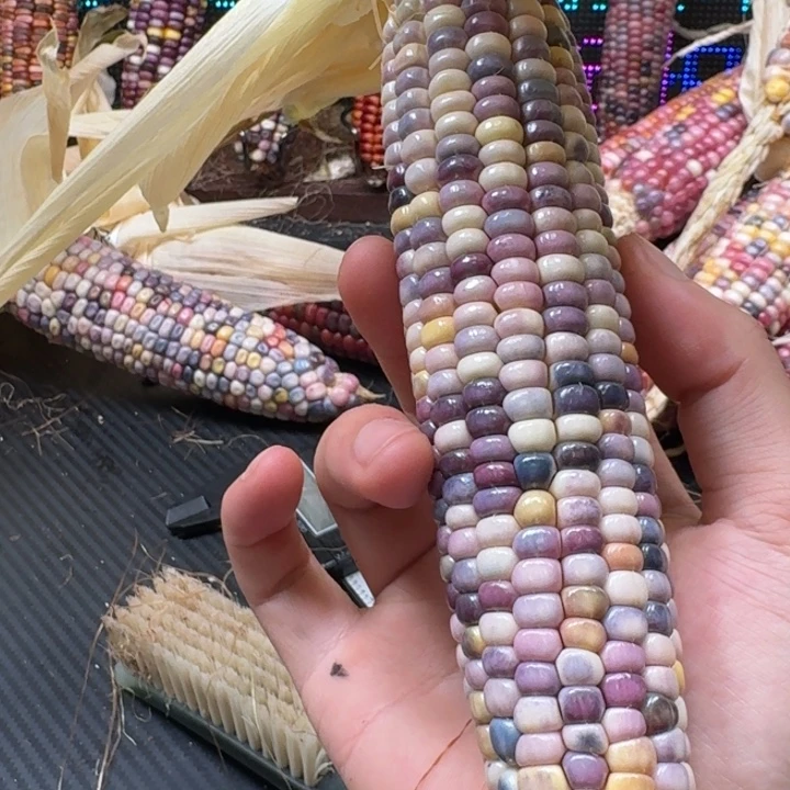 柚***檬吊坠柏香籽/百香籽