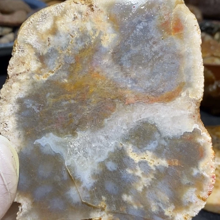 【闪购商品】未镶嵌珊瑚玉硅化玉