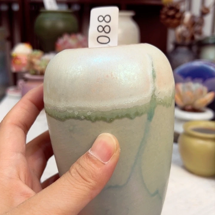 景德镇陶瓷研究所大****鱼