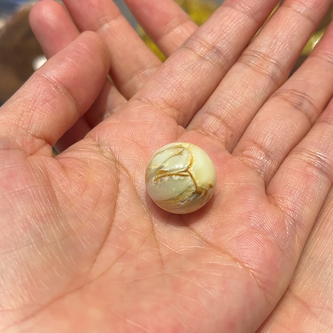 琥珀未镶嵌颈饰珠18+