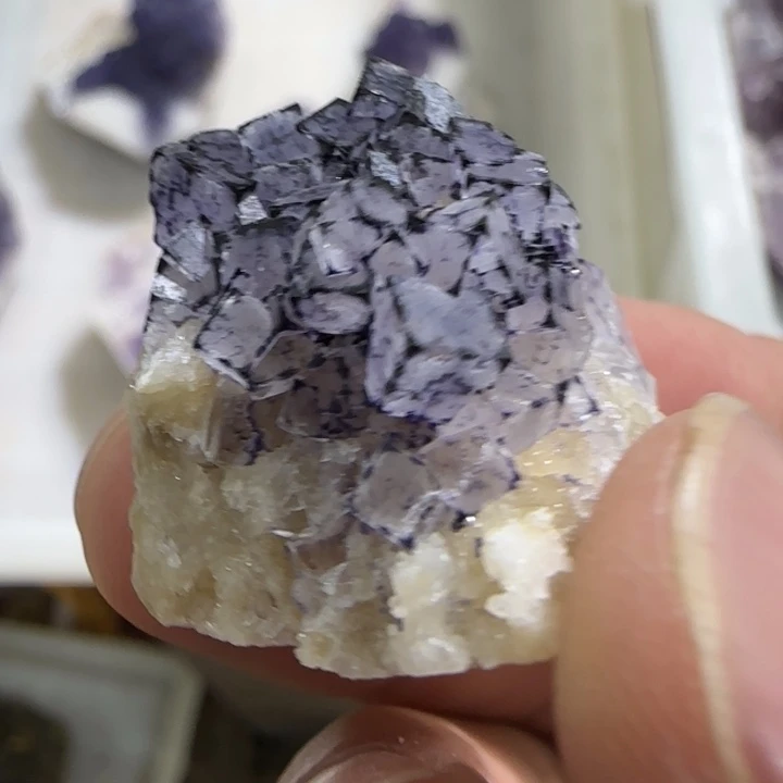 ****静昌化石印石原石料