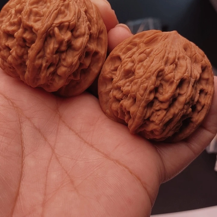 核桃虎头47尺核桃