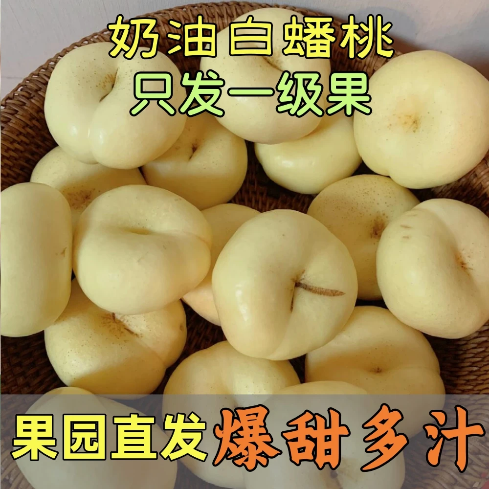 蒙阴白玉奶油白蟠桃新鲜水果超甜爆汁白桃子现摘扁桃蜜桃丹东孕妇