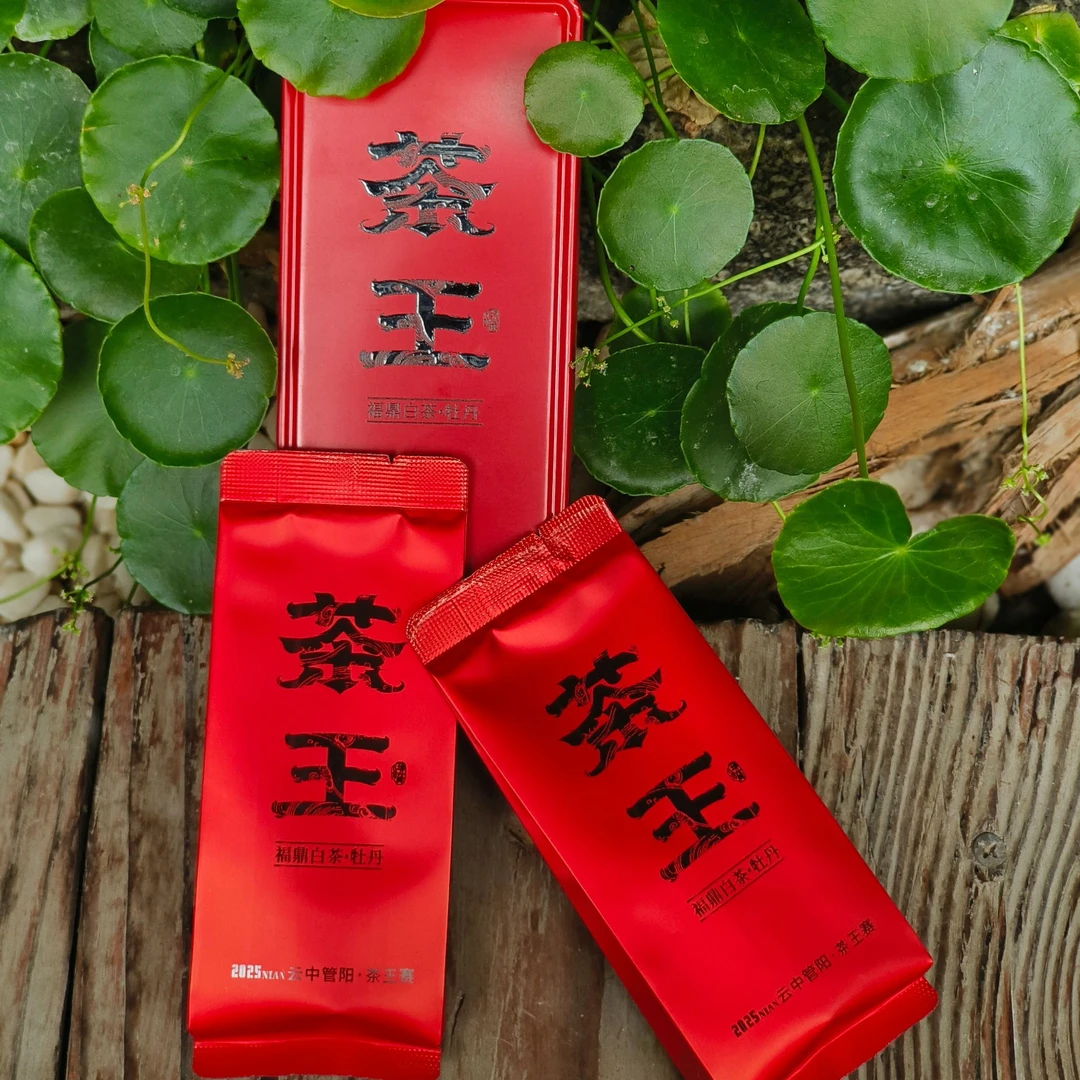 【2025年茶王牡丹品鉴】2025年福鼎管阳茶王特级白牡丹品鉴装