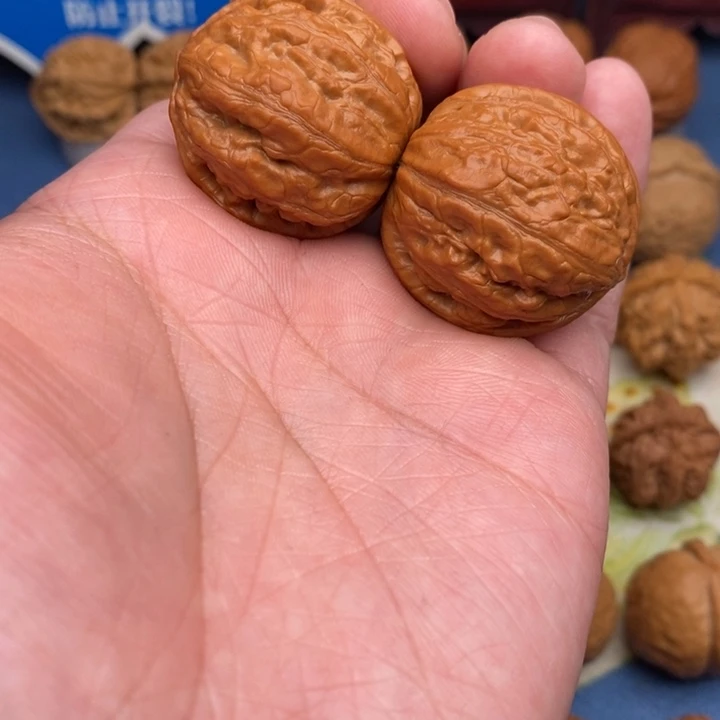 文玩核桃把件卧龙粗筋