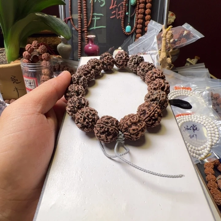 手串金刚菩提21➕安娜蜂窝双龙