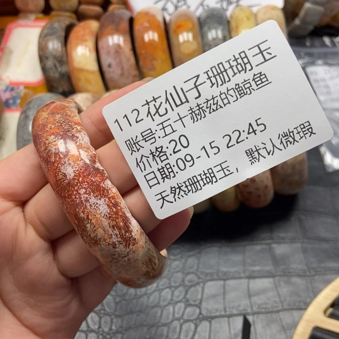 五***鱼未镶嵌硅化珊瑚（珊瑚玉）珠宝半成品112