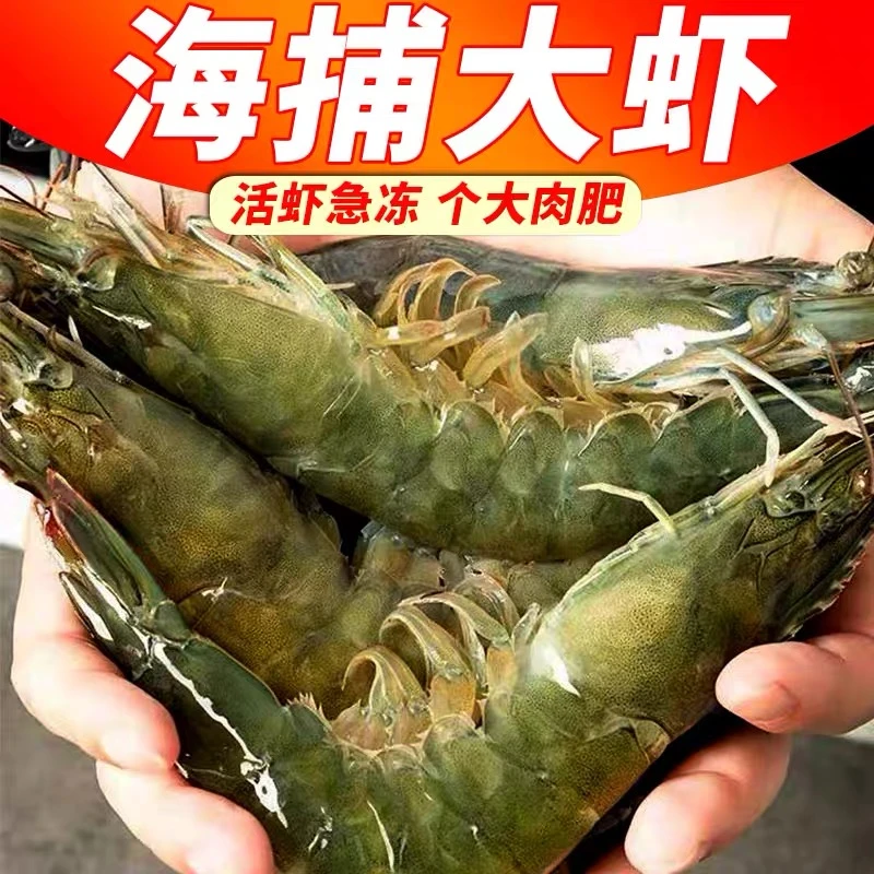 大大号海虾一份3.5斤速冻锁鲜14-18cm(45-55)15-20只/斤 冷链发货