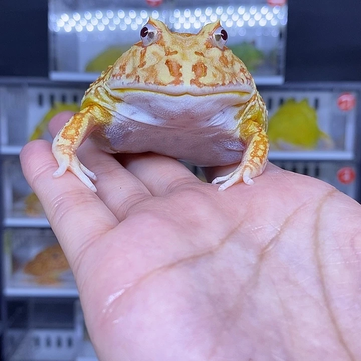 特价秒杀现货供应