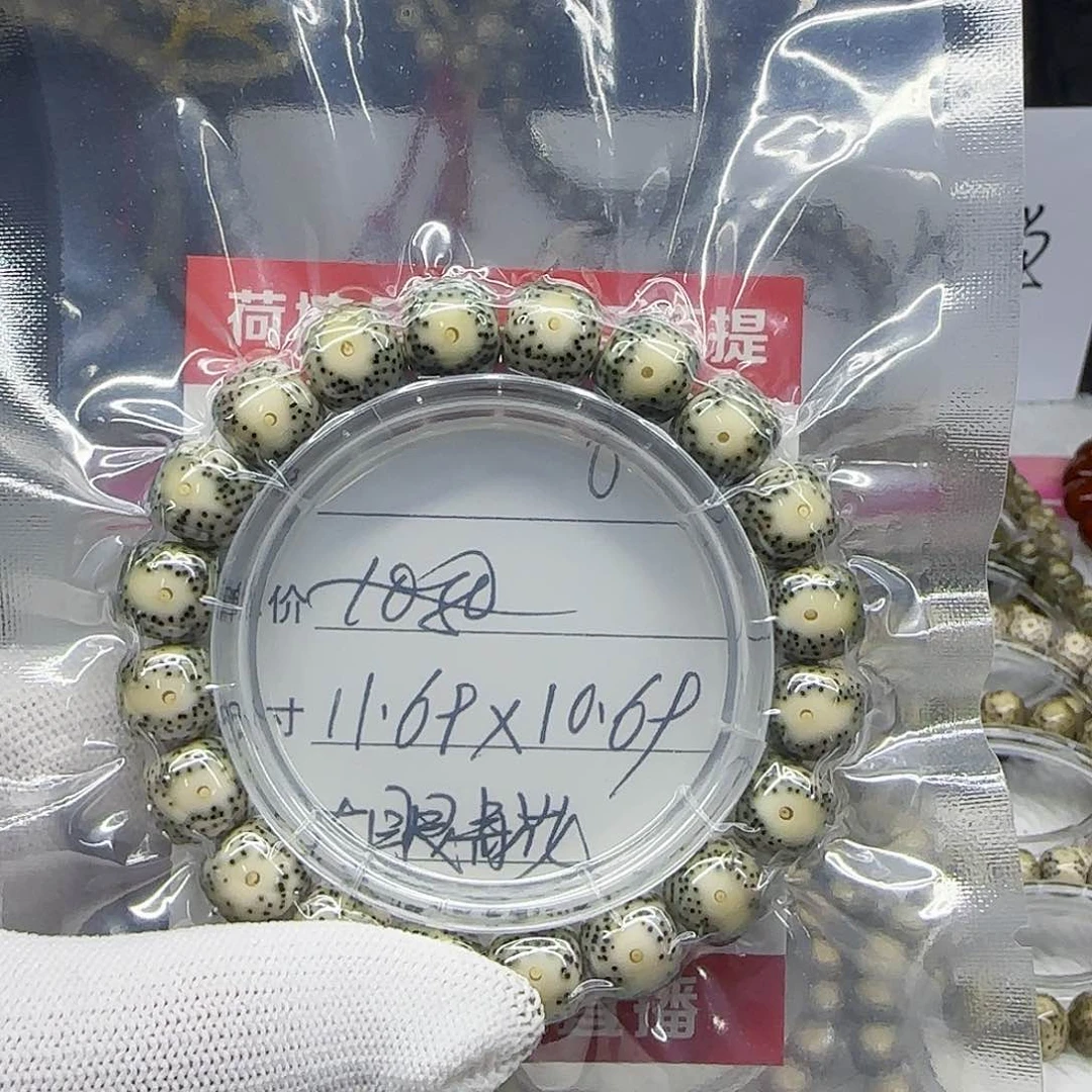 韩*海南荷塘星月菩提6