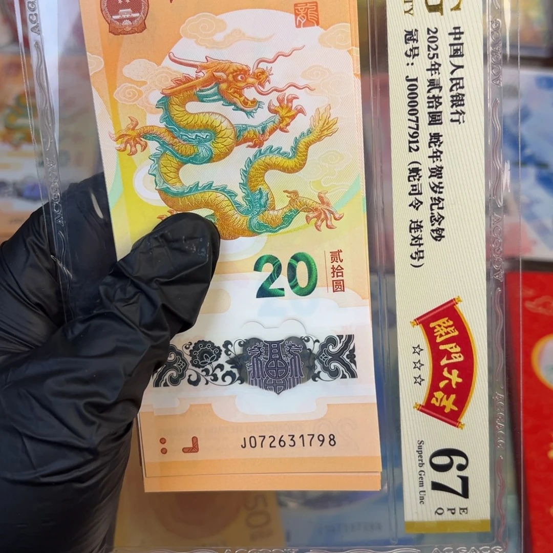 塑料龙单张.99999999