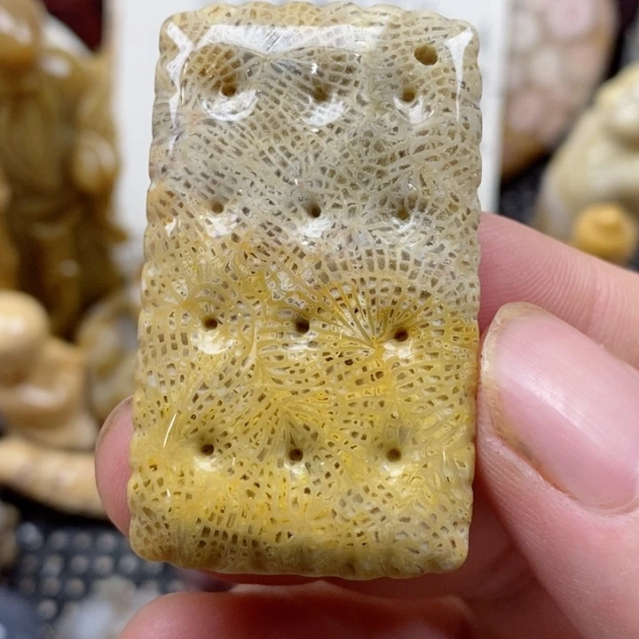 颈饰未镶嵌硅化珊瑚（珊瑚玉）