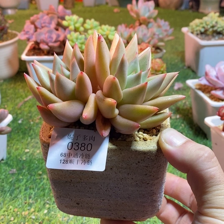 0380啊啊啊啊啊啊啊啊啊啊啊啊