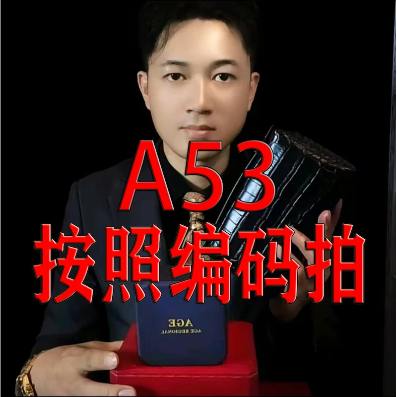AGE（HK）Regional-A53-进口女包