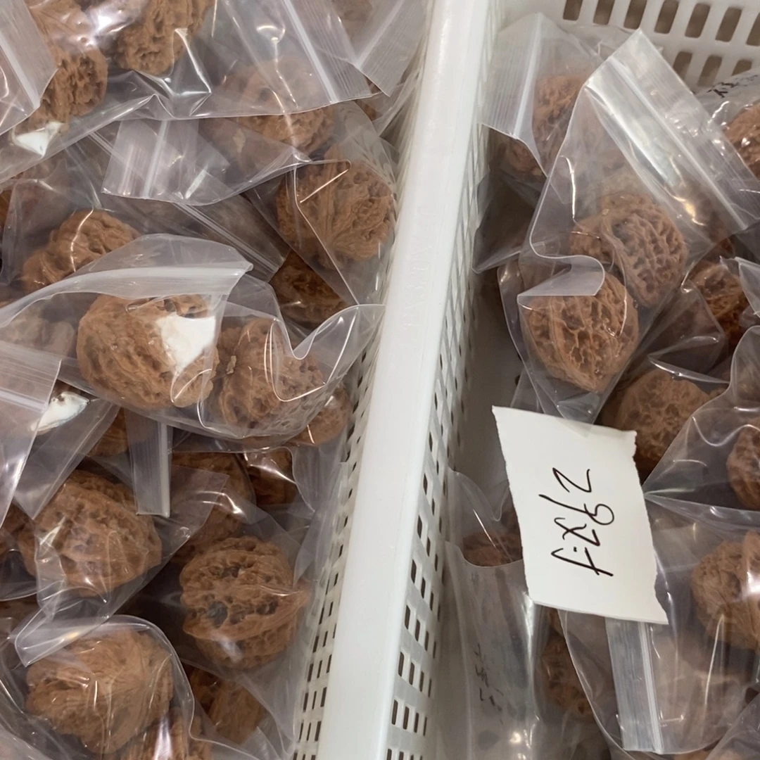 文玩核桃吊坠祥云