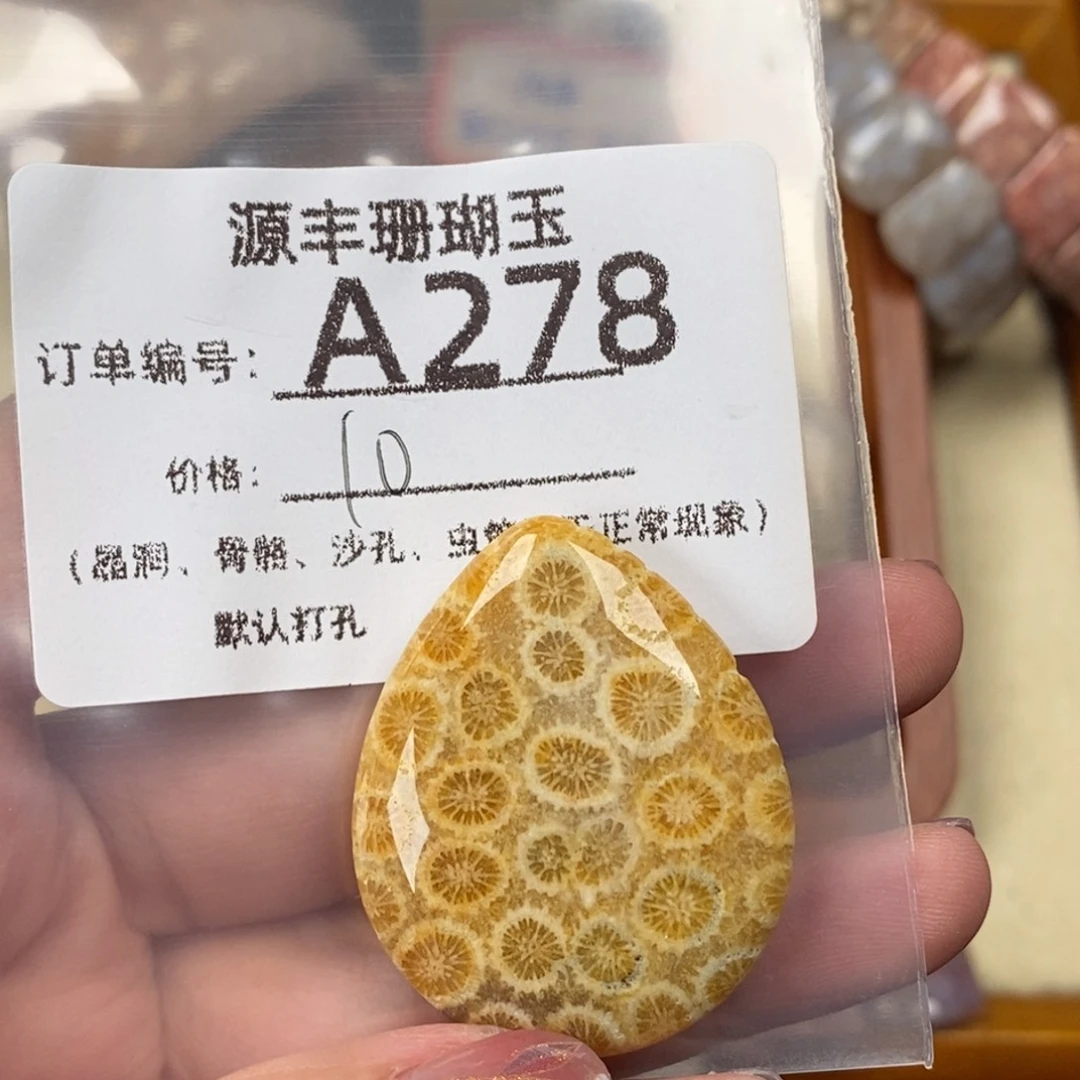 无***像未镶嵌颈饰硅化玉