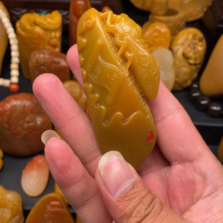 石英质玉未镶嵌颈饰