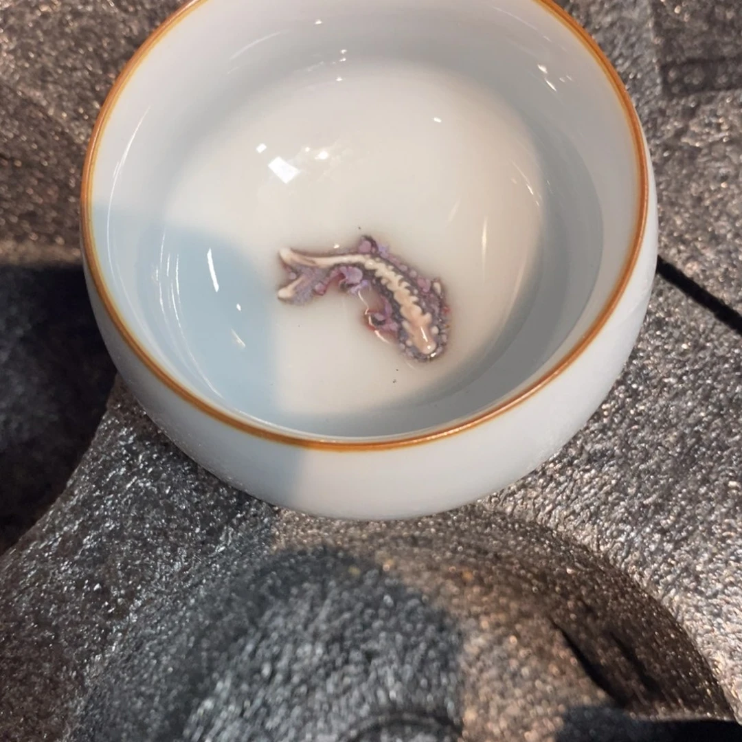 踏***松瓷片333333333333333333333