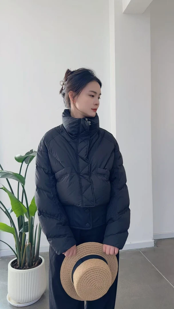 1082短款常规款宽松型女单排扣加厚百搭立领羽绒
