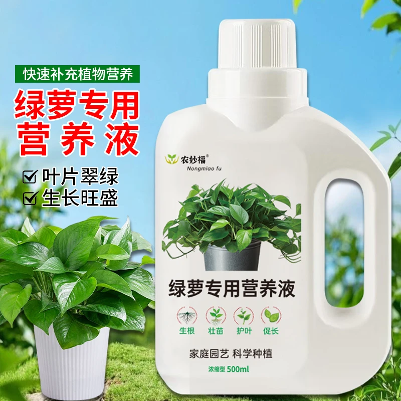 绿萝专用营养液肥料催长叶催生根防黄叶烂根黑斑掉叶家用免稀释肥