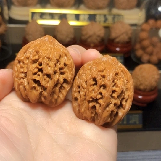 精品原桩九龙筋全品