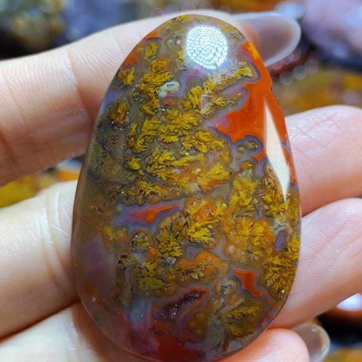 玛瑙/玉髓战国红吊坠未镶嵌