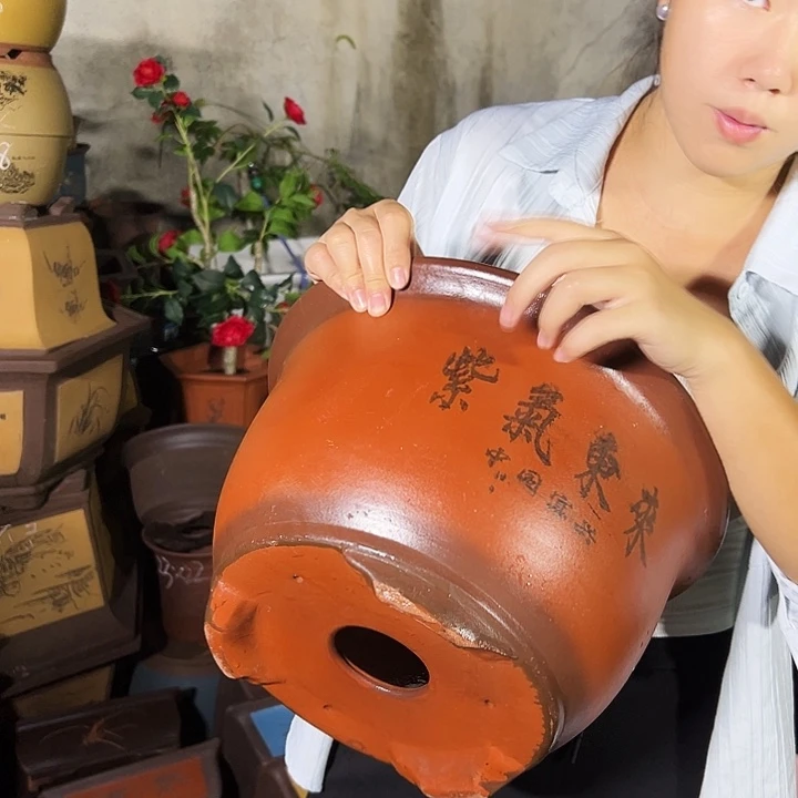30紫气东来花盆花盆花盆