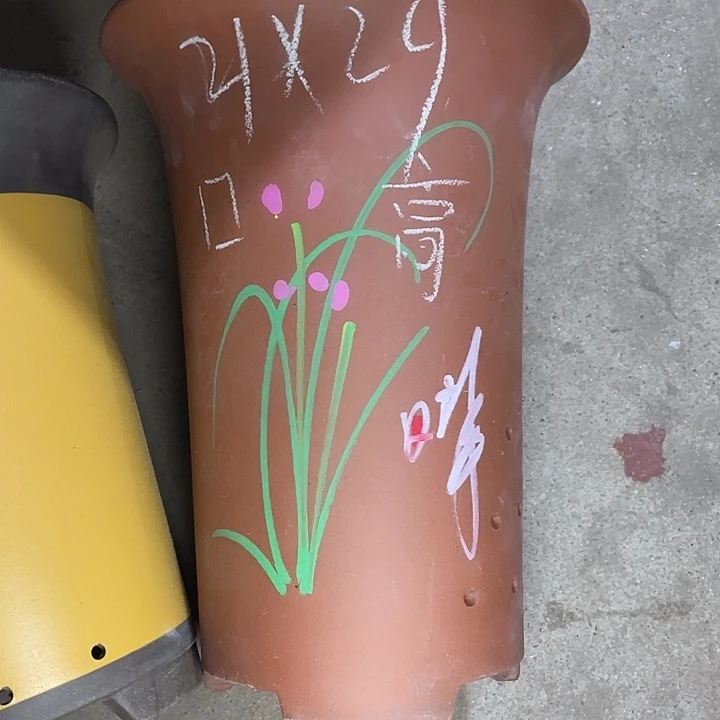 红陶紫砂紫砂z s x