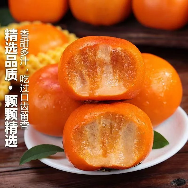 云南巧克力脆柿子新鲜采摘无核冰糖心应季水果现摘现发