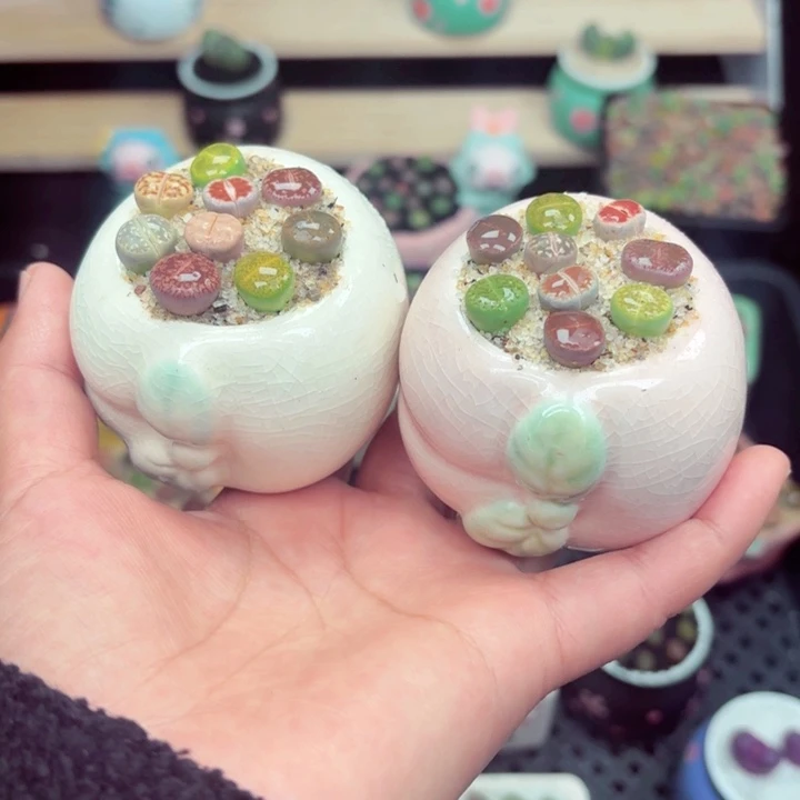 868零下地区记得拍保温箱满18包邮