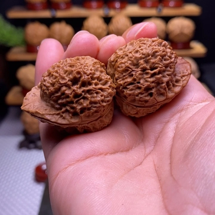 七***哥核桃云铁炎魔星官5号