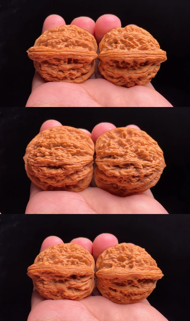 粗筋虎头老树果尺寸42-38-42.5