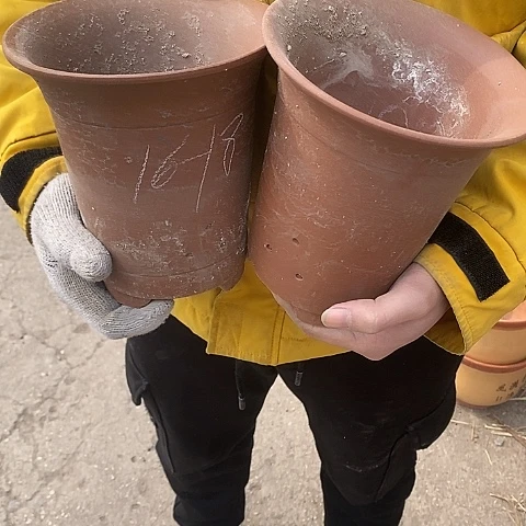 紫砂中国宜兴紫砂花，