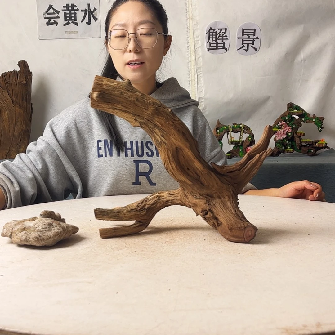 沉木造景寄居蟹造景
