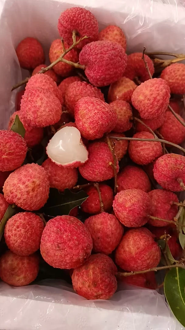 【顺丰包邮】广西新鲜现摘现发麻垌情人荔当季水果中国红荔枝包邮