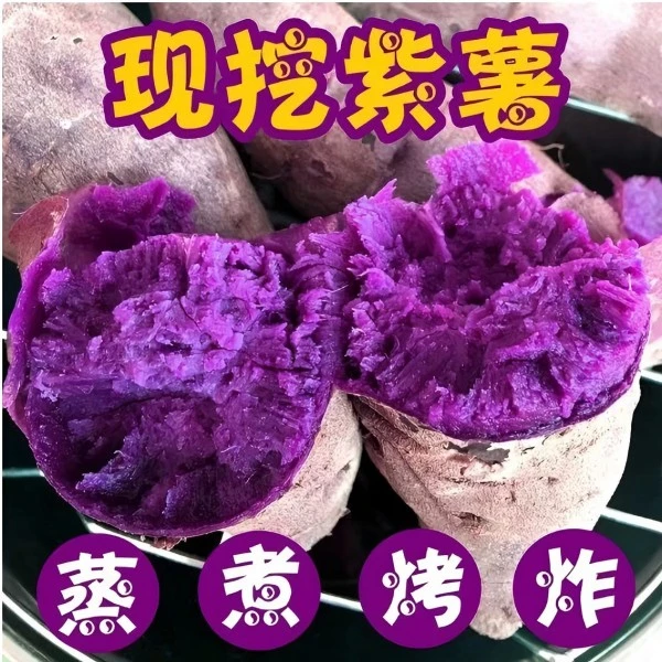 紫薯宝宝薯单果（50克左右）4.5-5斤