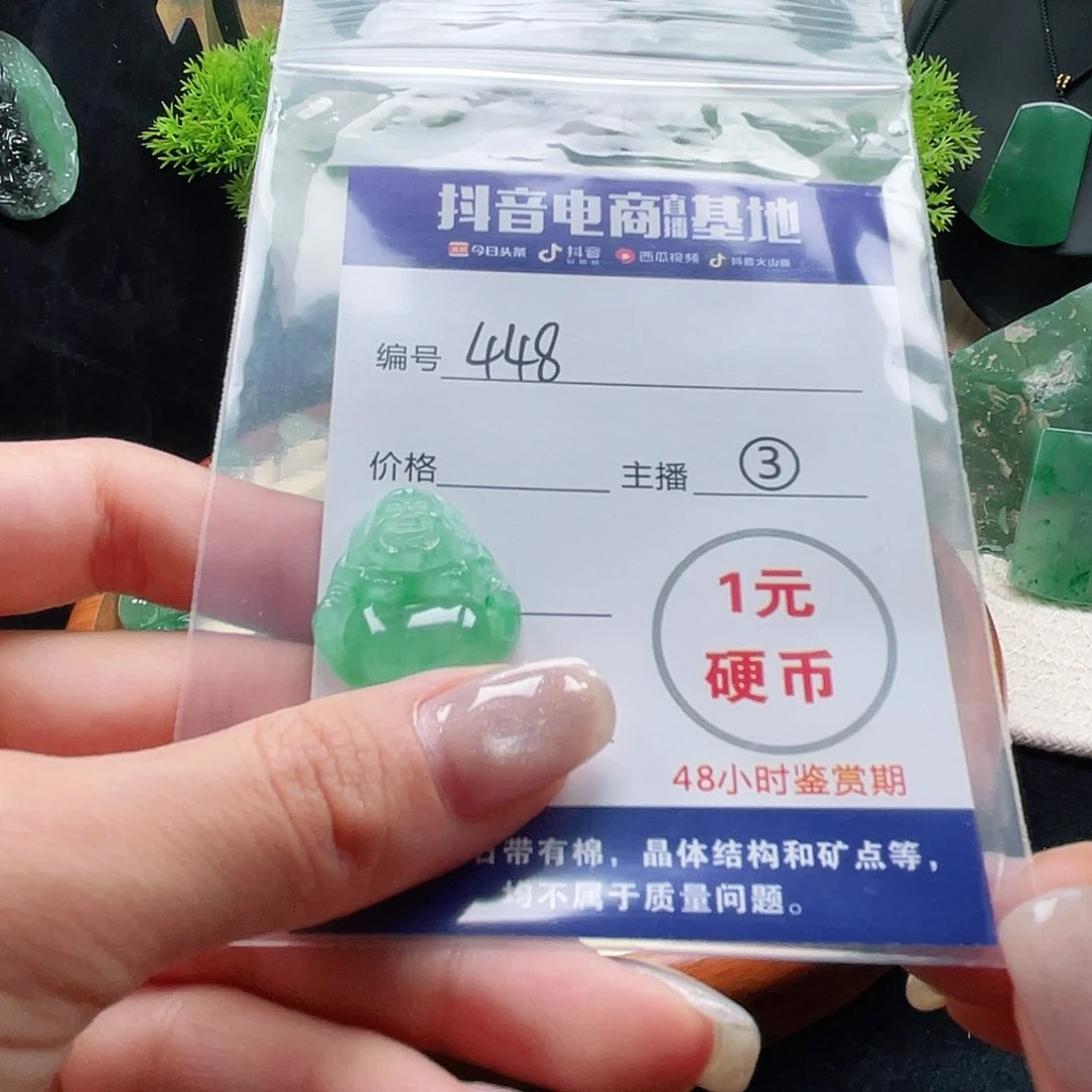 石英质玉未镶嵌颈饰