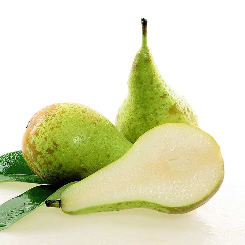 比利时青啤梨当季水果6个-12个装包邮农产小核青啤梨