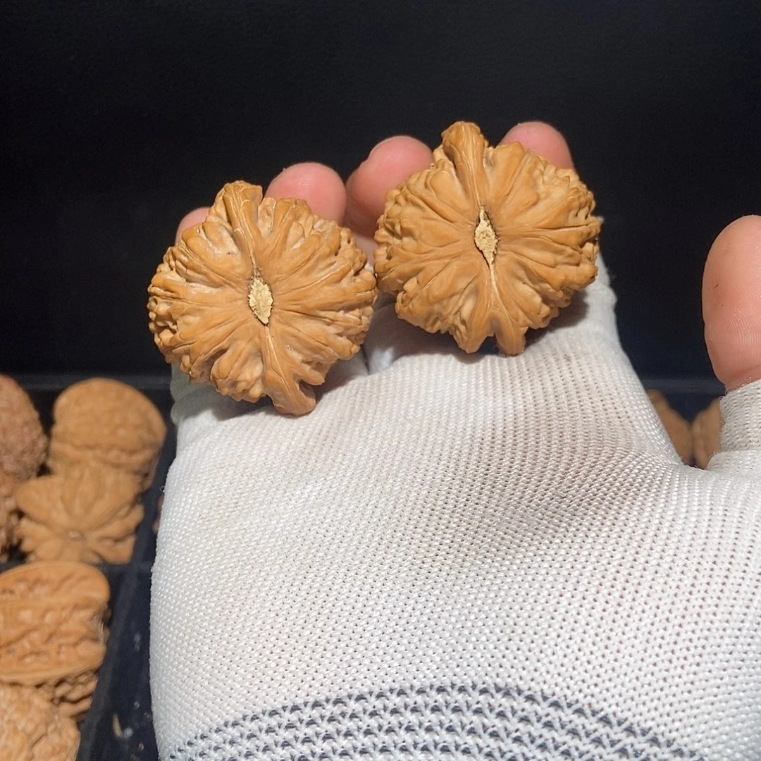 吊坠文玩核桃白狮子