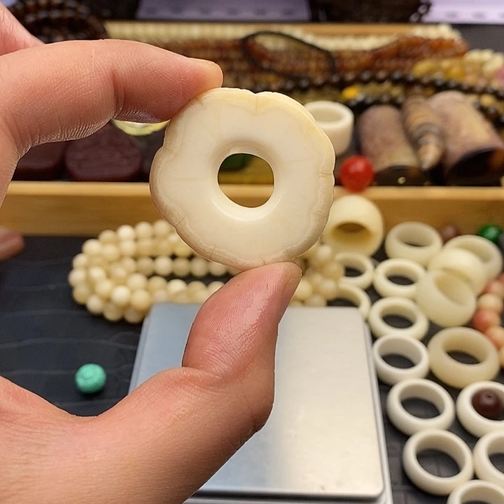 大果紫檀（缅甸花梨）