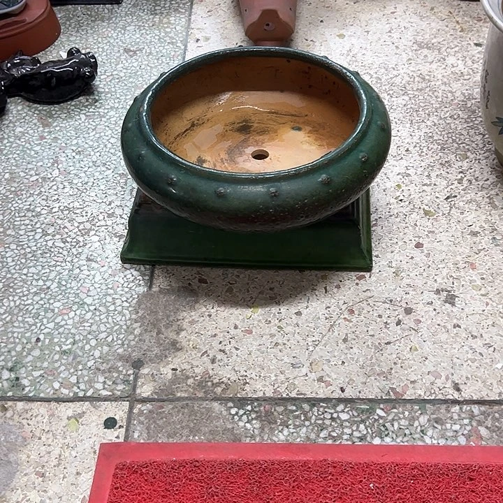 红陶大*。。。。。。。。。。。