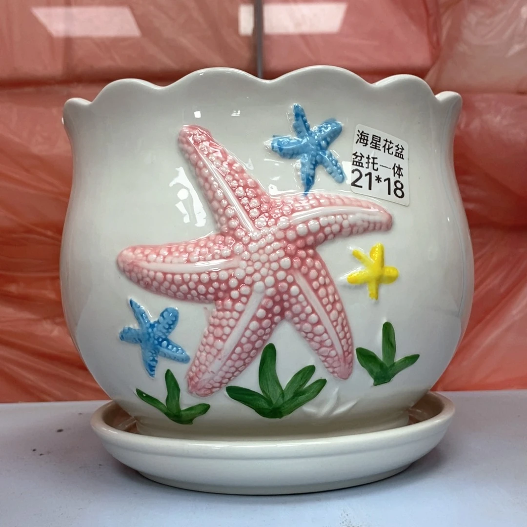 @陶瓷花盆@@特大海星