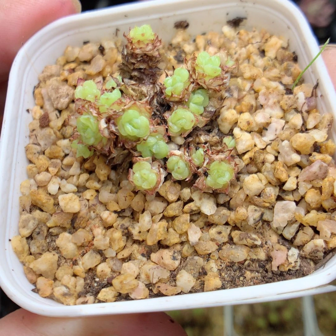 C95y y y y y y y y y