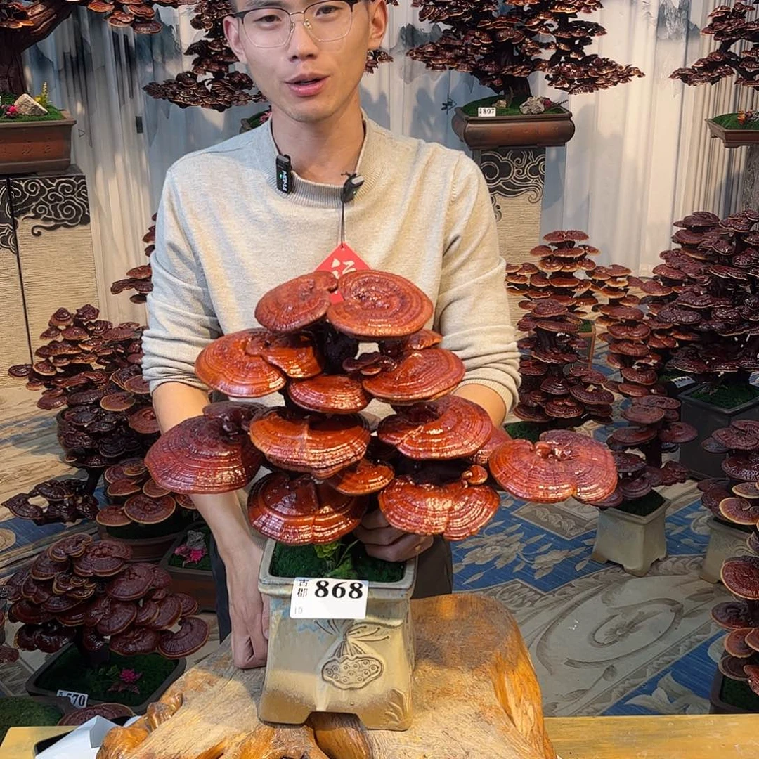 无花朵88888888888