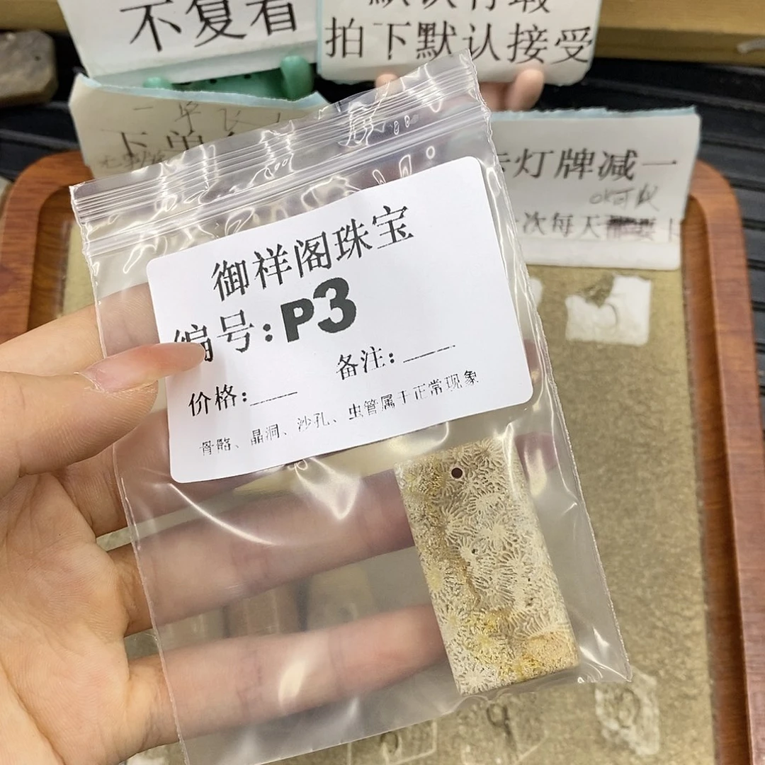 硅化珊瑚（珊瑚玉）未镶嵌颈饰潇**绽