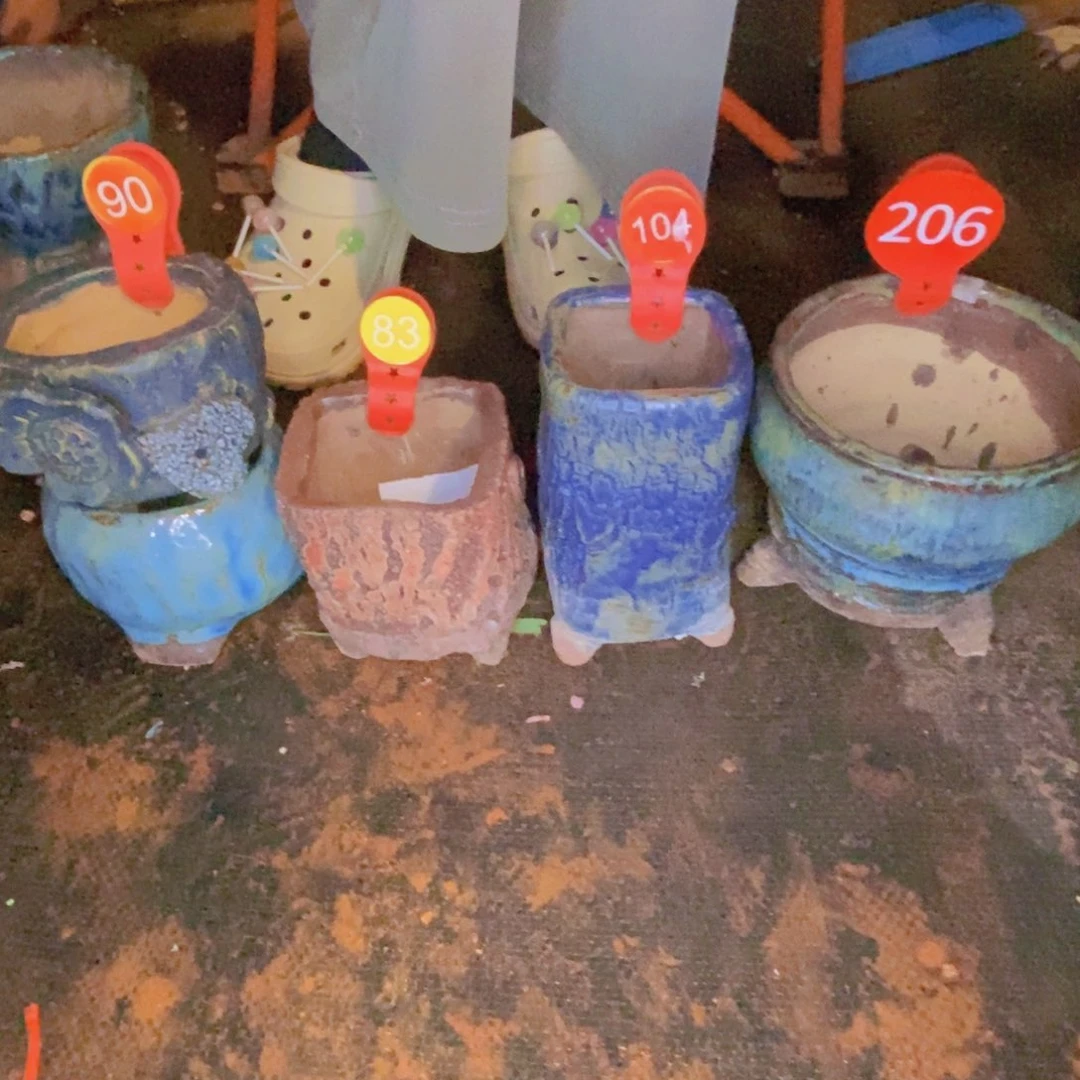 星***h花盆5个。