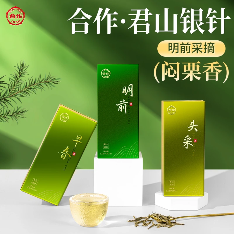 合作茶业君山银针岳阳核心茶叶原产地茶树嫩芽明前黄茶尝鲜