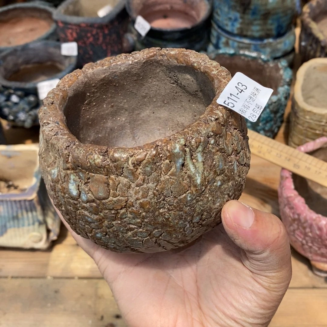 西**y43号多肉盆一个呀