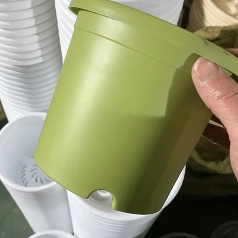 树脂四季1号10个无托果绿